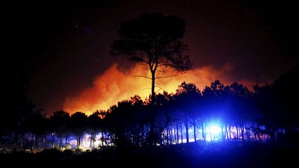 Les phares des camions de pompiers illuminent la forêt du massif des Maures (Var), ravagé par un incendie, le 17 août 2021. (FRANK MULLER / MAXPPP)