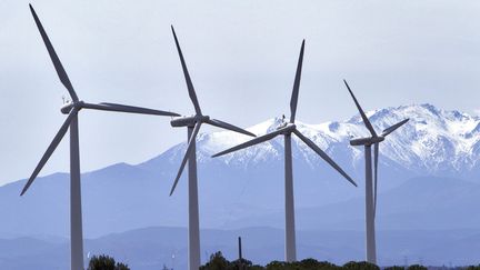  (L'éolien français toujours à la traîne - photo prétexte © Maxppp)