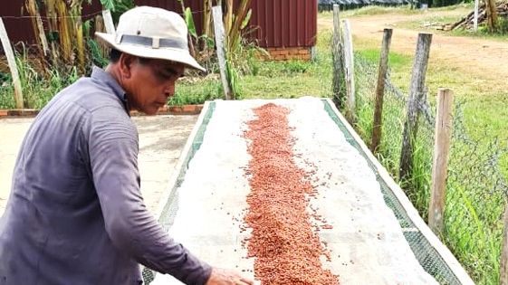 Fair Farms : une entreprise sociale spécialisée dans la production de poivre de Kampot, certifiée organique et commerce équitable. (PLATFORM IMPACT)