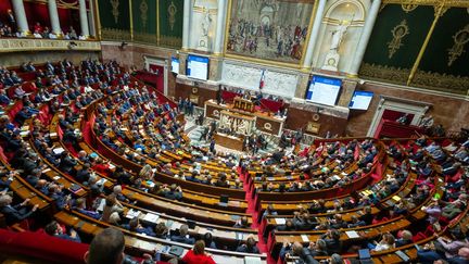 L'hémicycle de l'Assemblée nationale, le 8 octobre 2024 à Paris. (MARTIN NODA / HANS LUCAS / AFP)