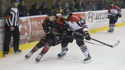 Un&nbsp;hockeyeur des Scorpions de Mulhouse (à gauche) face à un hockeyeur des Gothiques d'Amiens (à droite), le 29 février 2020. Photo d'illustration.
 (MAXPPP)