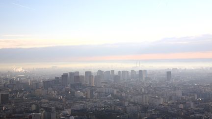 La pollution au dessus de Paris, le 31 d&eacute;cembre 2012. (ERIC GUILLORET / BIOSPHOTO / AFP)