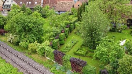 Tondre la pelouse, planter, tailler la haie…, toutes ces activités de jardinage peuvent être en partie couvertes par un crédit d’impôt. Une aide souvent méconnue et pourtant cela peut réduire la facture de près de 50 % dans le cas où un jardinier professionnel est sollicité.