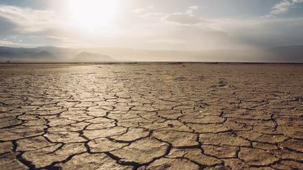 Des experts publient le 26 mars 2018 la première étude mondiale jamais réalisée sur la détérioration des sols de la planète. (LAETIZIA HAESSIG / EYEEM)