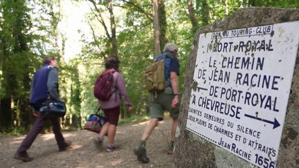 Yvelines : comment les bénévoles assurent le balisage des sentiers de randonnée français (France 2)