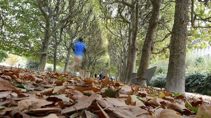 Les faits pr&eacute;sum&eacute;s se seraient d&eacute;roul&eacute;s dans le Jardin des Plantes, &agrave; Paris. (MANUEL COHEN / AFP )