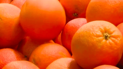 Consommation : le dérèglement climatique devrait entraîner une pénurie mondiale de jus d’orange (France 3)