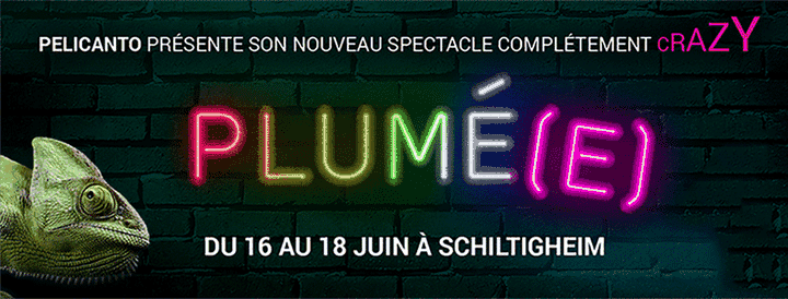 Leur nouveau spectacle "Plumée"
 (Pelicanto)