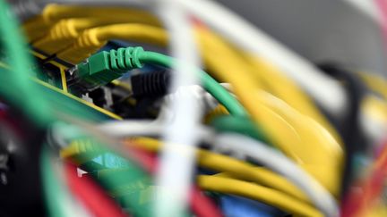 Des cables branchés sur des ordinateurs. (MAXPPP)