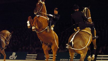 Des &eacute;cuyers du Cadre Noir de Saumur pr&eacute;sentent une figure de dressage, le 02 f&eacute;vrier 2006 au Parc des Expositions de La Beaujoire, &agrave; Nantes. (FRANK PERRY)