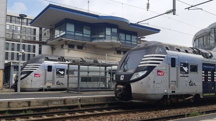 Des TER Breizhgo en gare de Rennes (Ille-et-Vilaine), le 9 août 2019. (AURÉLIE LAGAIN / FRANCE-BLEU BREIZH IZEL / MAXPPP)