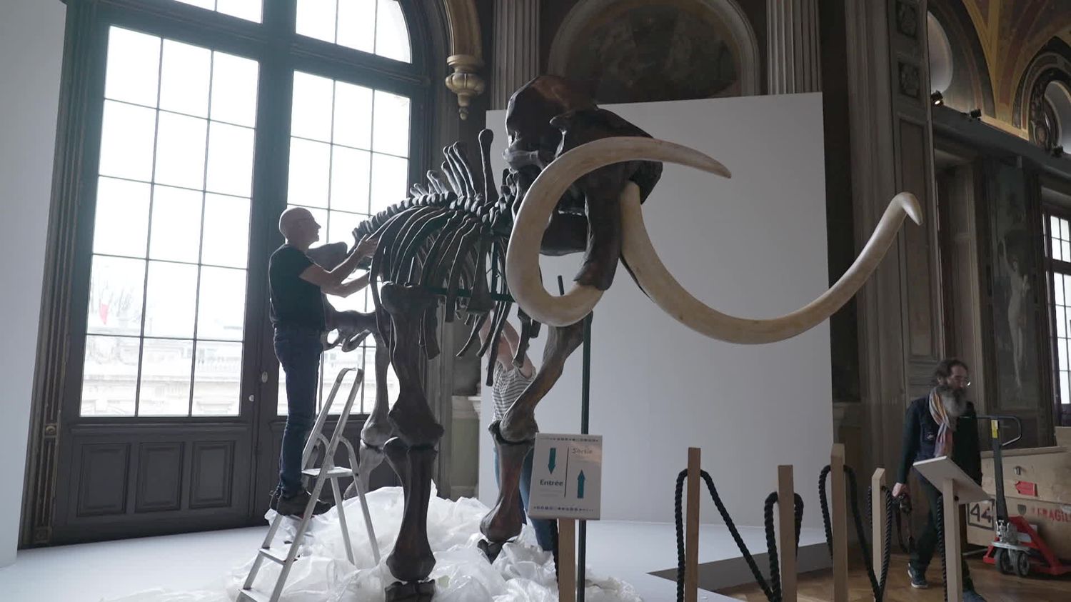 Le musée de Picardie prépare sa prochaine exposition sur la préhistoire ...