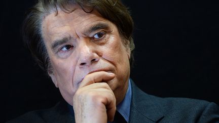 Bernard Tapie, le 15 novembre 2013, &agrave; Marseille (Bouches-du-Rh&ocirc;ne). (BORIS HORVAT / AFP)