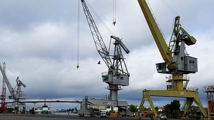 Des grues sur le port de Nantes, à "Cheviré Amont" (la grue abîmée le 28 août 2017 est celle de gauche)&nbsp; (ANTOINE DENECHERE/RADIOFRANCE)