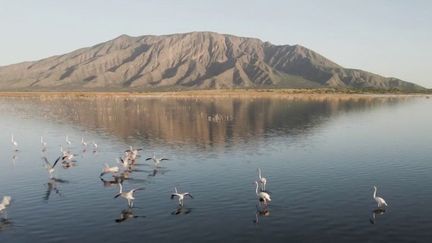 Kenya : le niveau du lac Natron a rarement été aussi élevé (France 2)