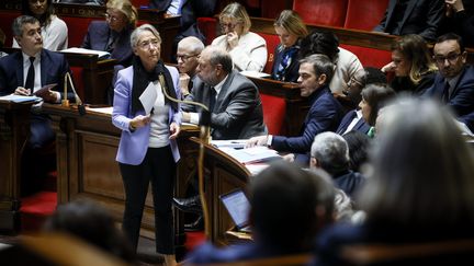 La Première ministre, Élisabeth Borne dans l'hémicyle de l'Assemblée nationale. (THOMAS PADILLA / MAXPPP)