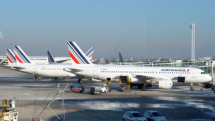 Des avions Air France, &agrave; Paris, le 7 f&eacute;vrier 2012. (BERTRAND GUAY / AFP)