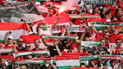 Des fans hongrois lors de la rencontre entre la Hongrie et l'Irlande, samedi 18 juin 2016 à Marseille (Bouches-du-Rhône). (FOTO OLIMPIK / NURPHOTO / AFP)