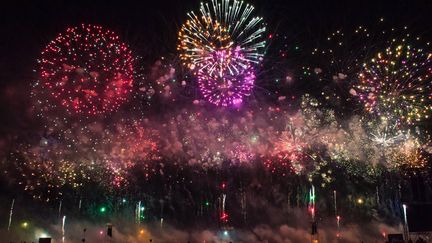 Feu d'artifice aux fêtes de Sologne. Photo d'illustration. (CYRILLE ARDAUD  / FRANCE BLEU ORLEANS)