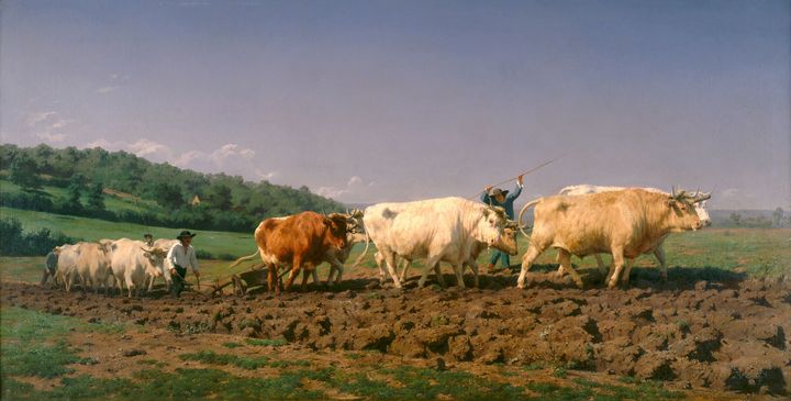 Rosa Bonheur, "Labourage nivernais", dit aussi "Le sombrage", 1849, Paris, musée d’Orsay (Photo © Musée d'Orsay, Dist. RMN-Grand Palais / Patrice Schmidt)