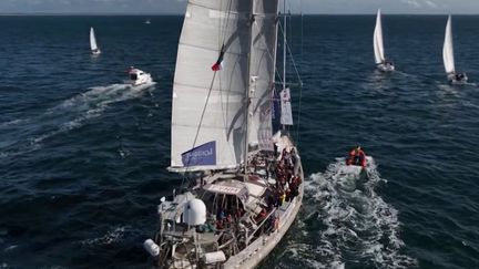 Environnement : la goélette Tara est de retour à Lorient après deux ans d'expédition scientifique