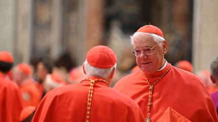 Le cardinal Gerhard Muller, le 27 août 2022. (JOHANNES NEUDECKER / DPA)