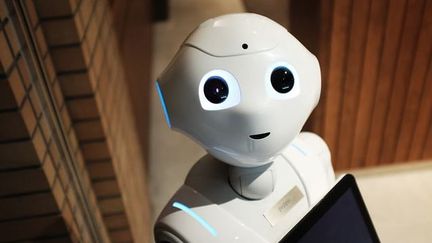 Intelligence artificielle : un robot renvoyé pour inefficacité