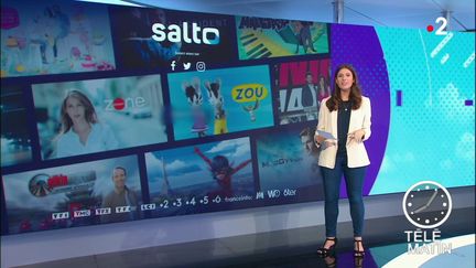 Plate-forme Salto (France 2)