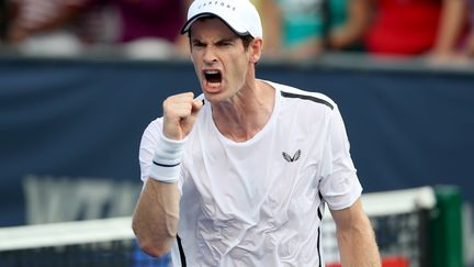 Andy Murray (ROB CARR / GETTY IMAGES NORTH AMERICA)