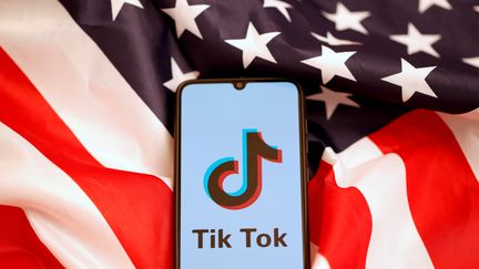 L'application TikTok, le 8 novembre 2019. (DADO RUVIC / REUTERS)