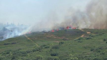 Incendies dans l’Hérault : la piste criminelle privilégiée