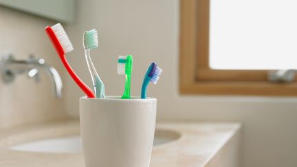 Chaque brosse à dents ou chaque pommeau de douche représente un îlot de biodiversité viral, tout à fait unique, selon l'étude réalisée par des chercheurs américains. (IMAGE SOURCE / IMAGE SOURCE)