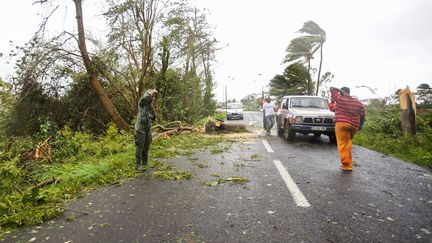 Une route endommagée après le passage de l'ouragan Maria, dans le village de Viard - Petit Bourg, en Guadeloupe, le 19 septembre 2017.&nbsp; (CEDRICK ISHAM CALVADOS / AFP)