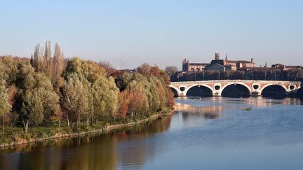 Le suspect est un homme de 24 ans, soupçonné d'avoir agressé plusieurs homosexuels chemin de la Loge sur l'île du Ramier, un lieu de drague gay à Toulouse. (REMY GABALDA / AFP)