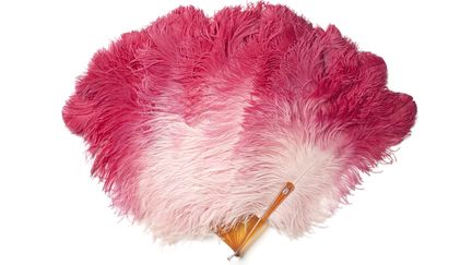 Cristóbal Balenciaga, Christian Dior, Yves Saint Laurent et Coco Chanel ont, chacun à leur manière, tissé des liens particuliers avec les plumes. Les plumes gardent aujourd'hui encore tout leur panache, comme en témoignent les derniers défilés de créateurs belges et internationaux.
 (Stephen Mattues)