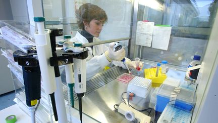 Une technicienne de laboratoire travaille, le 27 octobre 2004, dans le laboratoire G&eacute;n&eacute;thon&nbsp;d'Evry (Essonne). (PASCAL PAVANI / AFP)