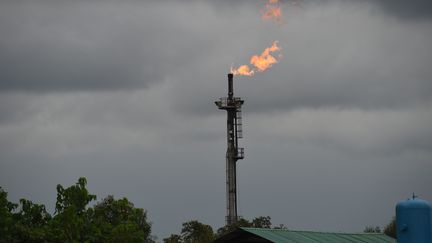 Une torchère brûle&nbsp;sur le puits de pétrole de Batan exploité par Chevron et par la&nbsp;Nigerian National Petroleum Corporation (NNPC). Le 26 mars 2018. (PIUS UTOMI EKPEI / AFP)