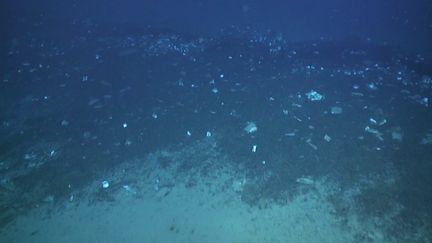 Marseille : les déchets plastiques colonisent les fonds marins en Méditerranée