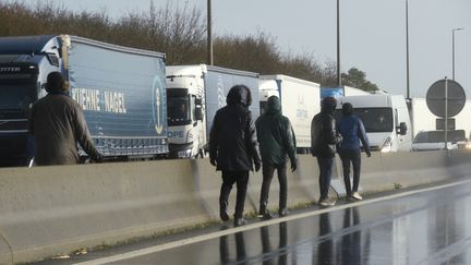 Des migrants clandestins à Calais (Pas-de-Calais) tentent de se rendre en Grande-Bretagne. Photo d'illustration. (FRANCOIS LO PRESTI / AFP)