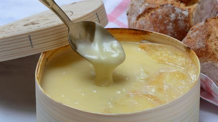 Le Mont d'Or de la fromagerie Badoz rappelé pour une possible contamination à la salmonelle