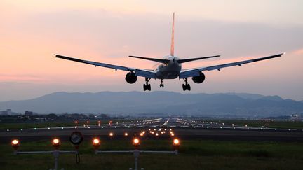 A cause de leur iPhone, des automobilistes ont termin&eacute; sur les pistes d'atterrissage et de d&eacute;collage d'un a&eacute;roport am&eacute;ricain, en septembre 2013.&nbsp; (YUJI KOTANI / GETTY IMAGES)