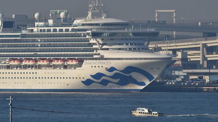 Le Diamond Princess au large de Yokohama, au Japon, le 13 févier 2020. (KAZUHIRO NOGI / AFP)