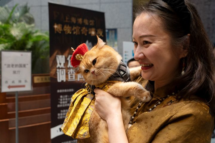 Une femme et son chat baptisé "M. Trump" en raison de sa ressemblance physique et psychologique avec le candidat à la présidence des Etats-Unis en visite au musée de Shanghai dans une exposition sur l'Egypte antique au musée de Shanghai, ouverte aux chats, le 27 juillet 2024. (AGATHA CANTRILL / AFP)