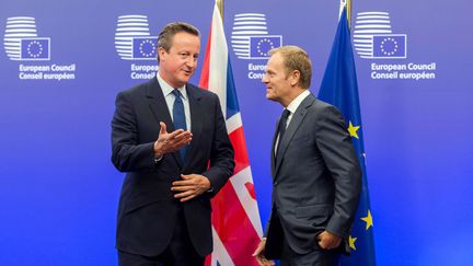 &nbsp; (Le premier ministre David Cameron et le président du Conseil Européen à l'entrée du Conseil Européen à Bruxelles © Geert Vanden Wijngaert/AP/SIPA)