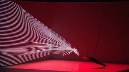 Danse : l'algorithme dans la peau