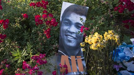 Une image de Mohamed Ali entre les fleurs, devant le centre Mohamed Ali à Louisville, dans le Kentucky, mardi 7 juin 2016. (BRENDAN SMIALOWSKI / AFP)