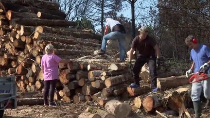 Incendies en Gironde : du bois mis à la disposition des habitants (FRANCE 2)