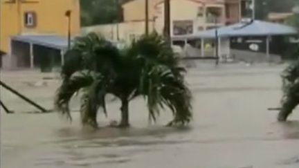 Martinique : des centaines d'habitants pigés par la montée des eaux