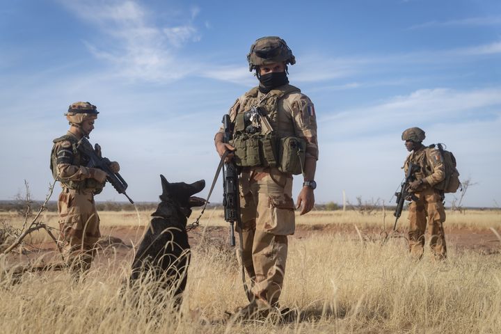 Un maître et son chien pendant l'opération Lynx au Mali, en 2018. (JEROME B / SIRPAT / ARMEE DE TERRE)