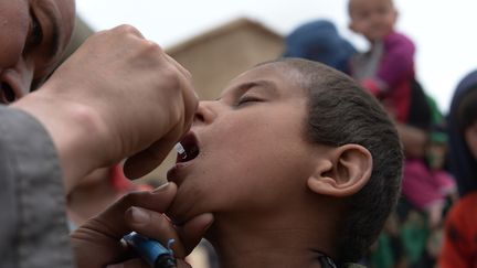 Un enfant se fait vacciner contre la poliomy&eacute;lite dans la province du Badakhchan,&nbsp;en Afghanistan, le 4 mai 2014. (SHAH MARAI / AFP)